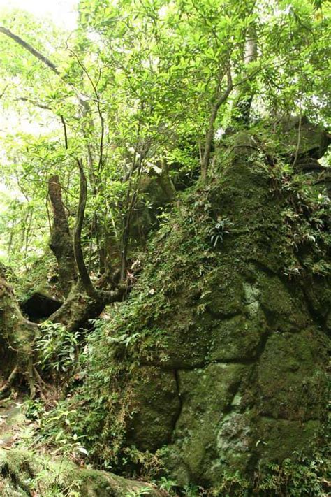 七星山金字塔|七星山下有金字塔？老謝：漫步秘境凱達格蘭山